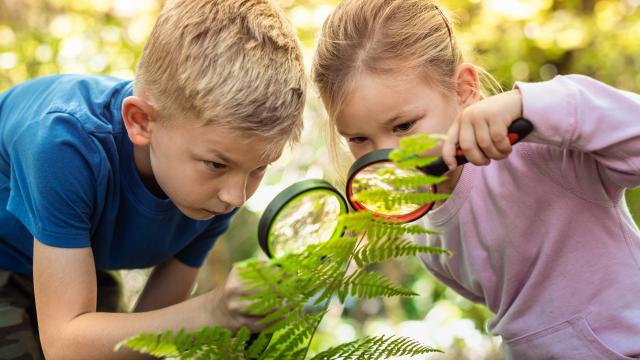 Malí vedci v akcii – bádame, skúmame, experimentujeme